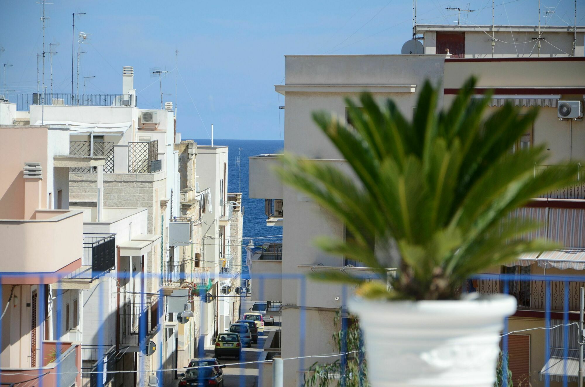 Dimora Petruzzelli Bed & Breakfast Polignano a Mare Dış mekan fotoğraf